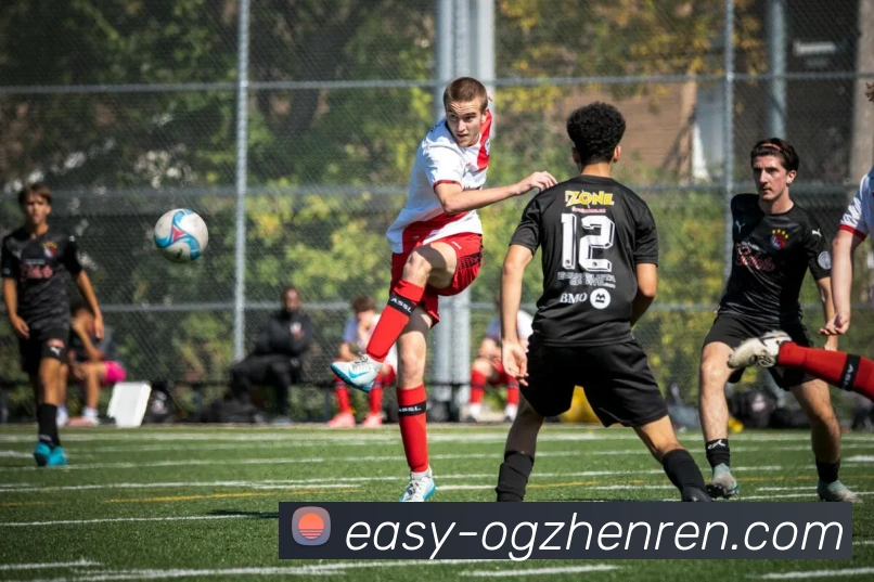 App Interface Preview