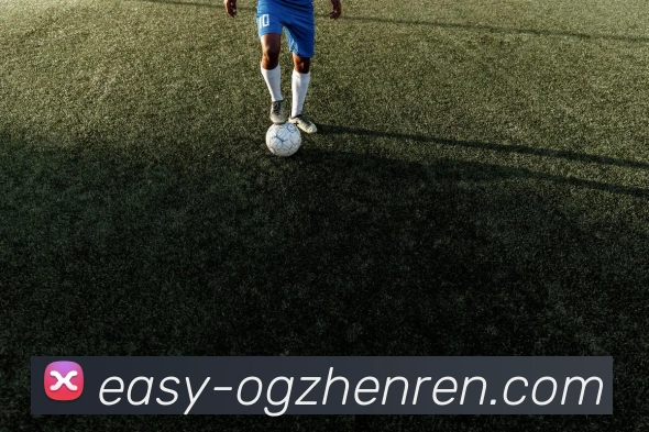 OG真人APP 封面图